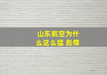 山东航空为什么这么猛 彪悍